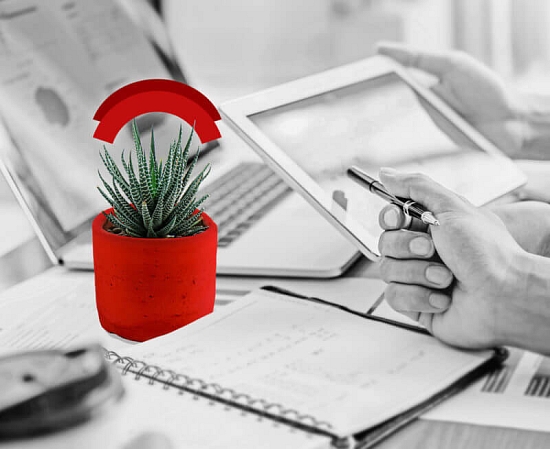 Trade credit insurance