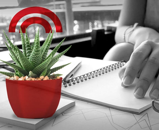 Trade Credit Insurance solution for the JANČA & EMAS group – Arfin.cz.